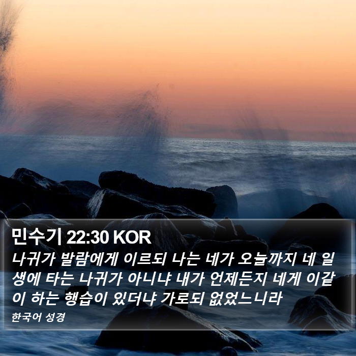 민수기 22:30 KOR Bible Study