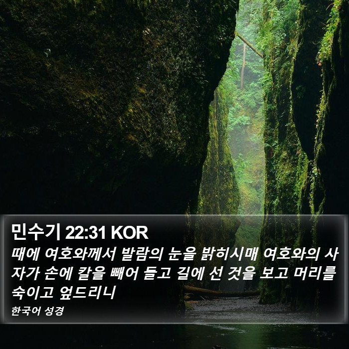 민수기 22:31 KOR Bible Study