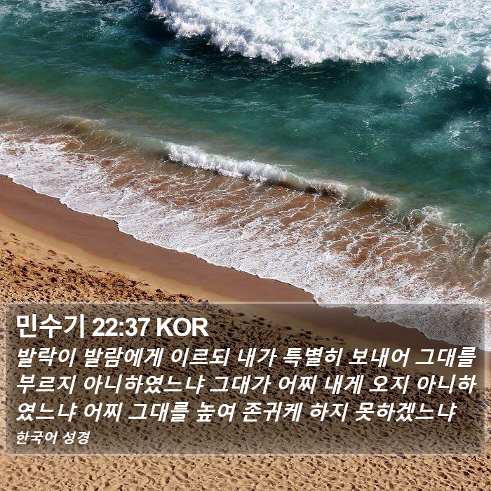 민수기 22:37 KOR Bible Study