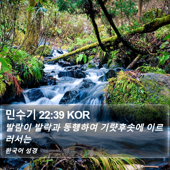 민수기 22:39 KOR Bible Study