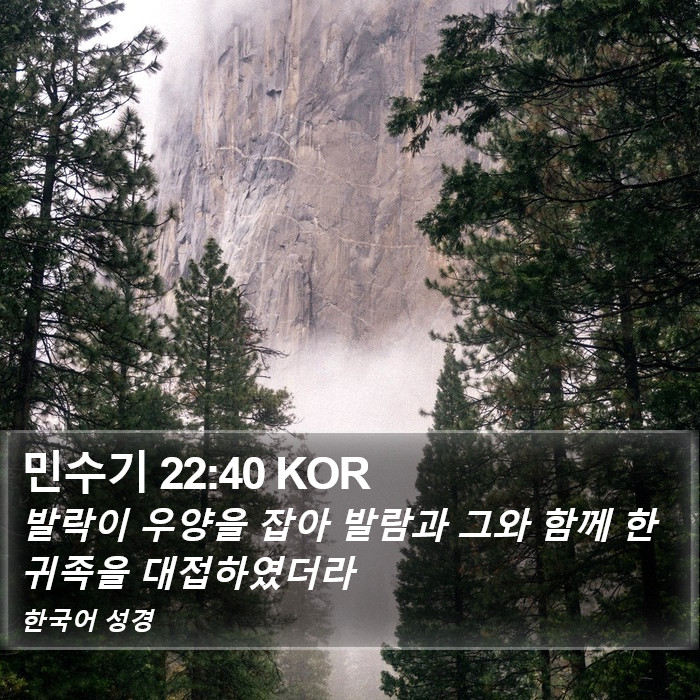 민수기 22:40 KOR Bible Study