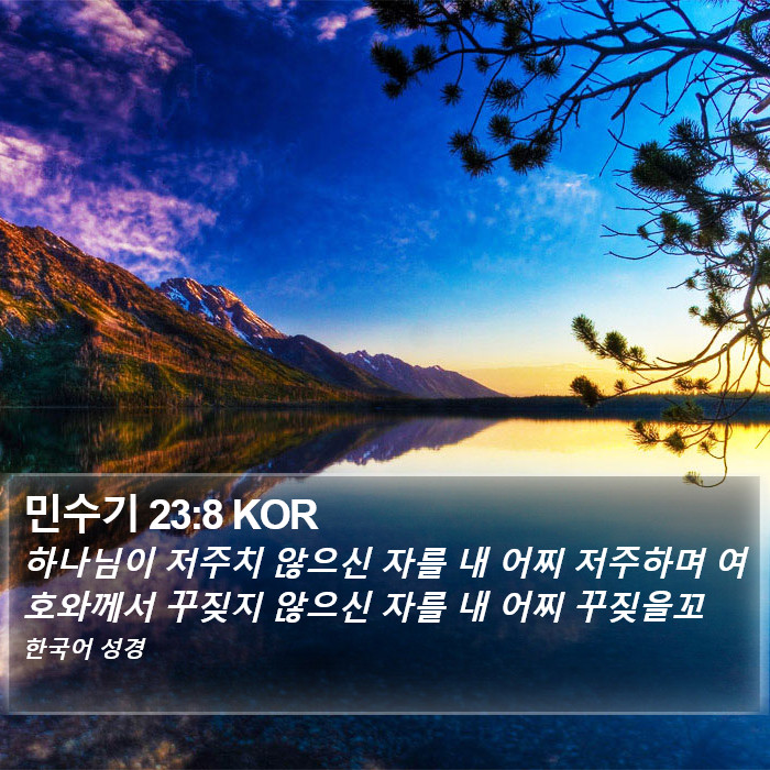 민수기 23:8 KOR Bible Study