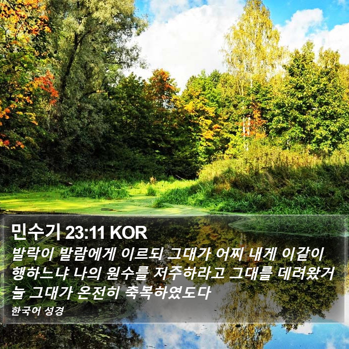 민수기 23:11 KOR Bible Study