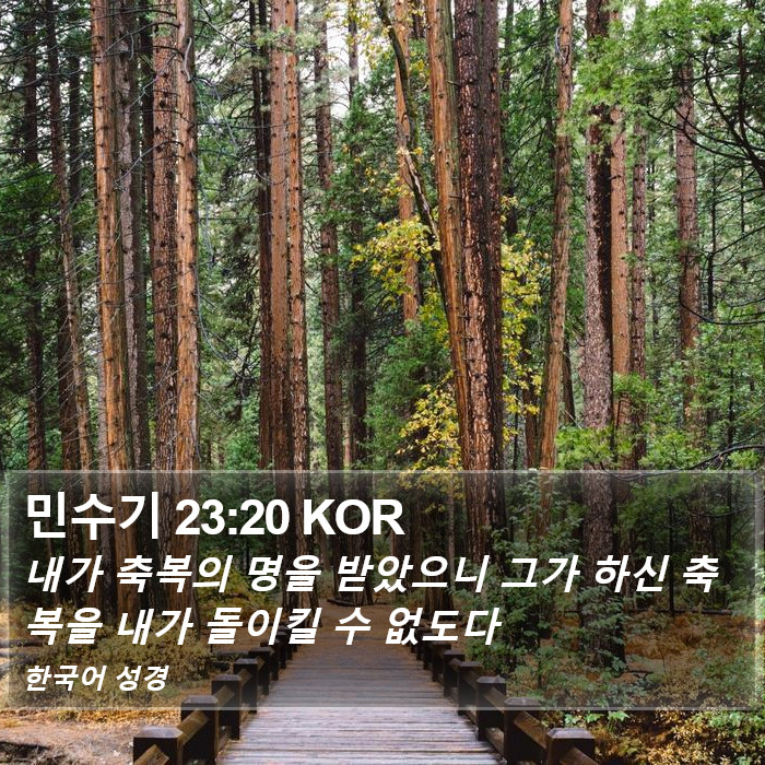 민수기 23:20 KOR Bible Study