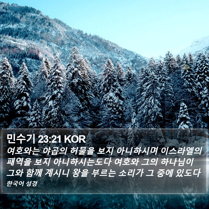 민수기 23:21 KOR Bible Study