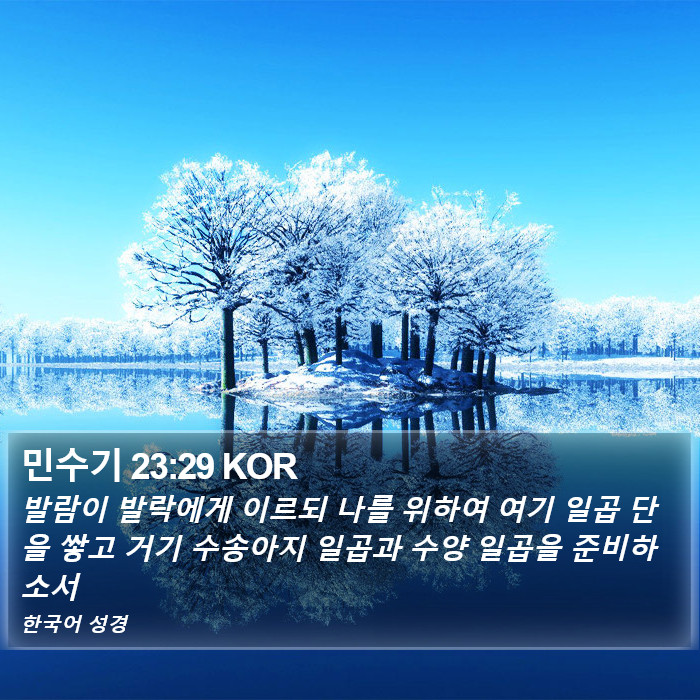 민수기 23:29 KOR Bible Study