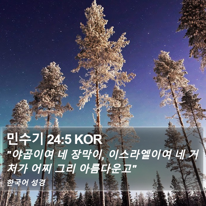 민수기 24:5 KOR Bible Study