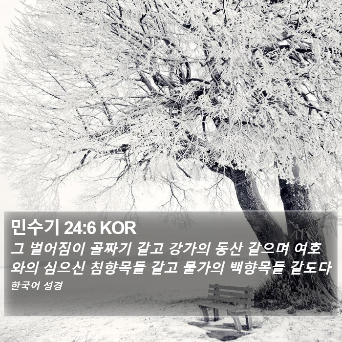 민수기 24:6 KOR Bible Study