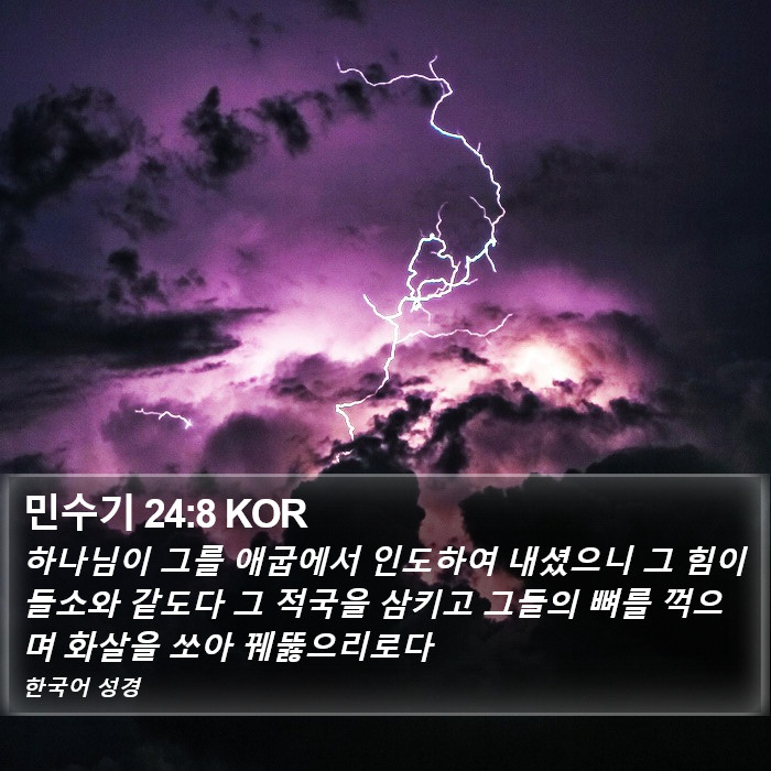 민수기 24:8 KOR Bible Study