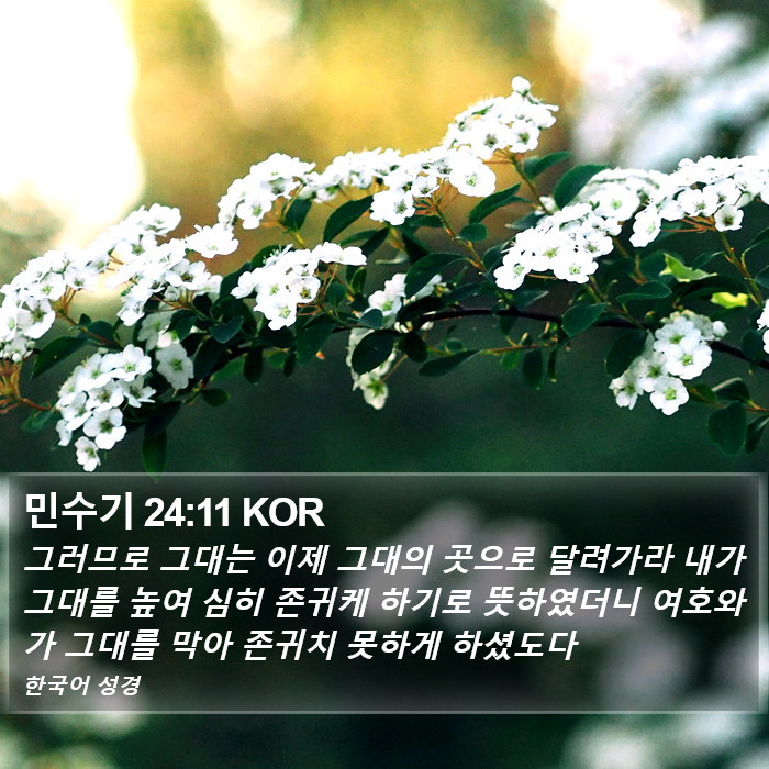 민수기 24:11 KOR Bible Study