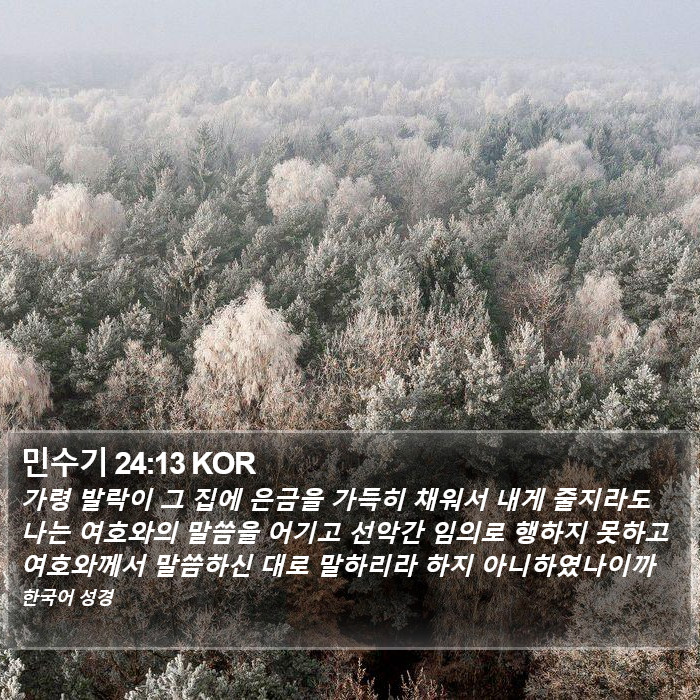 민수기 24:13 KOR Bible Study