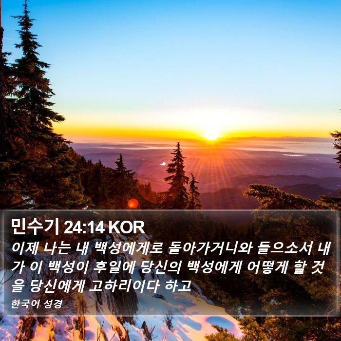 민수기 24:14 KOR Bible Study