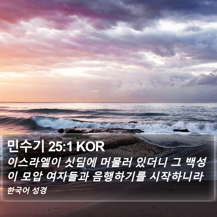 민수기 25:1 KOR Bible Study