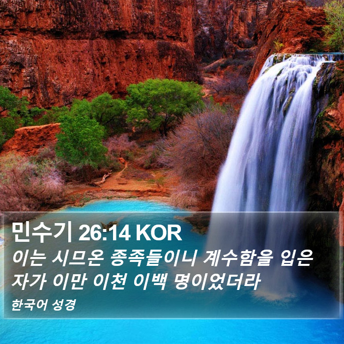 민수기 26:14 KOR Bible Study