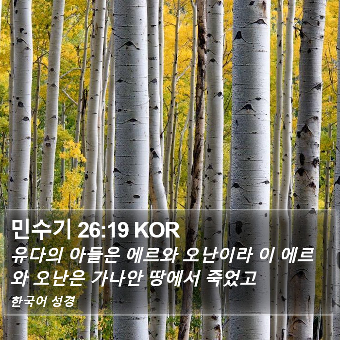 민수기 26:19 KOR Bible Study