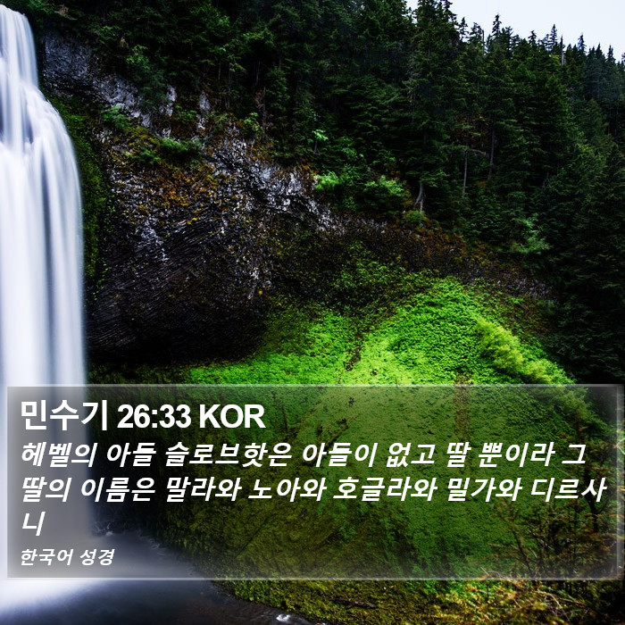 민수기 26:33 KOR Bible Study