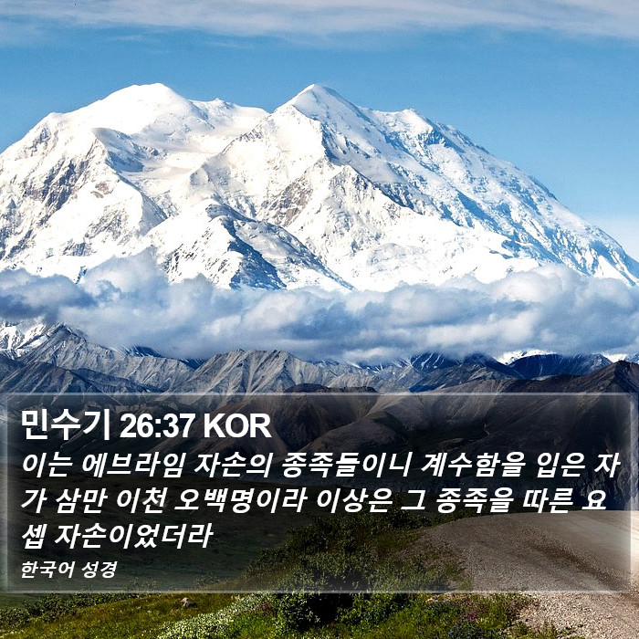 민수기 26:37 KOR Bible Study