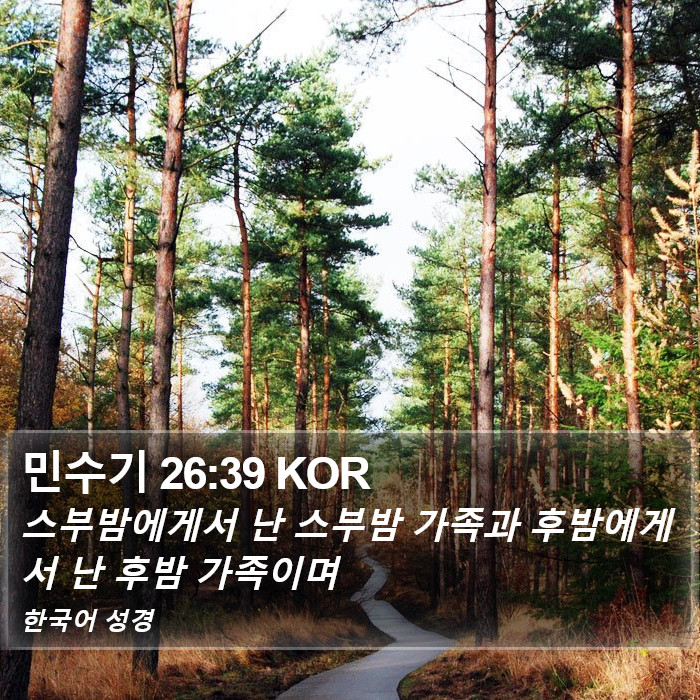 민수기 26:39 KOR Bible Study