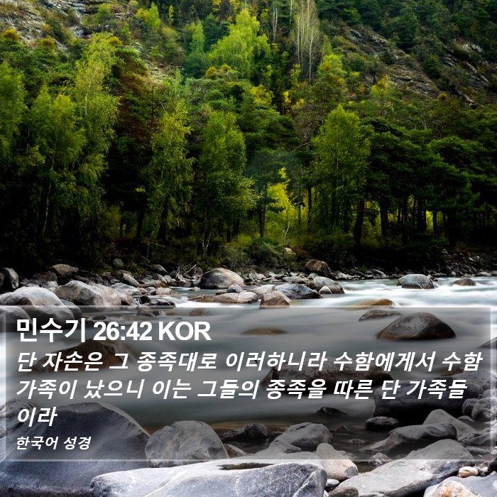 민수기 26:42 KOR Bible Study