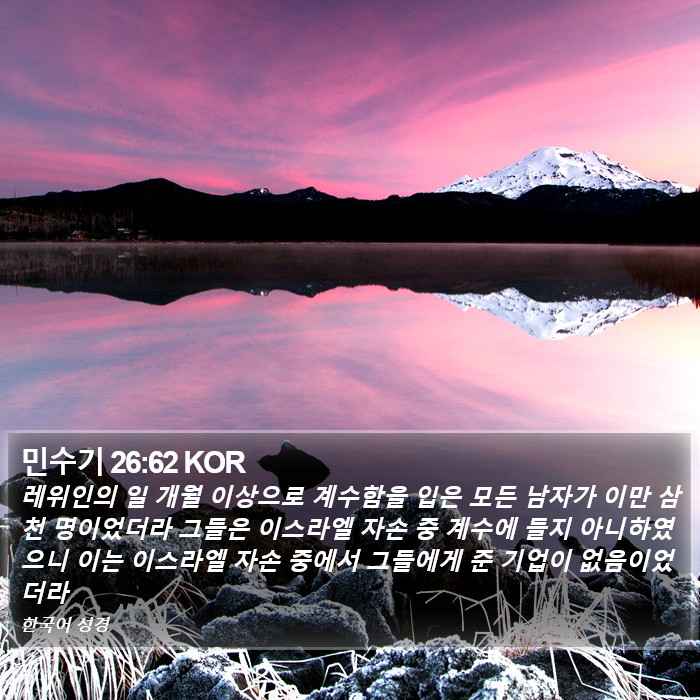 민수기 26:62 KOR Bible Study