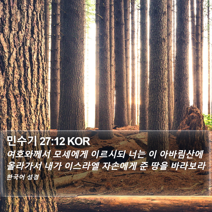 민수기 27:12 KOR Bible Study