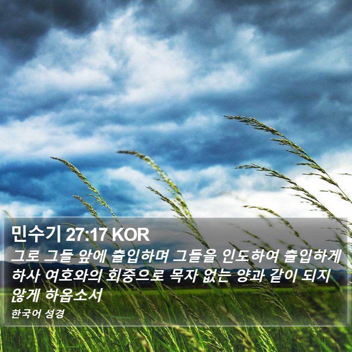 민수기 27:17 KOR Bible Study