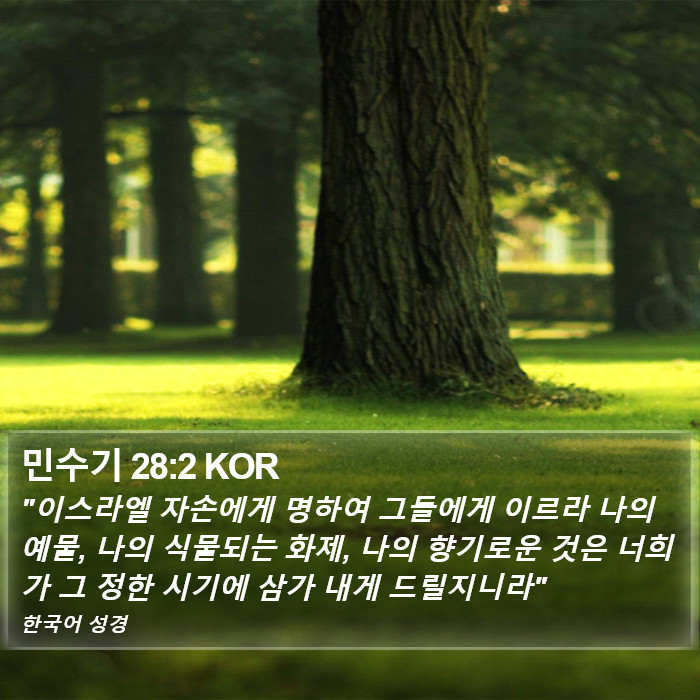 민수기 28:2 KOR Bible Study