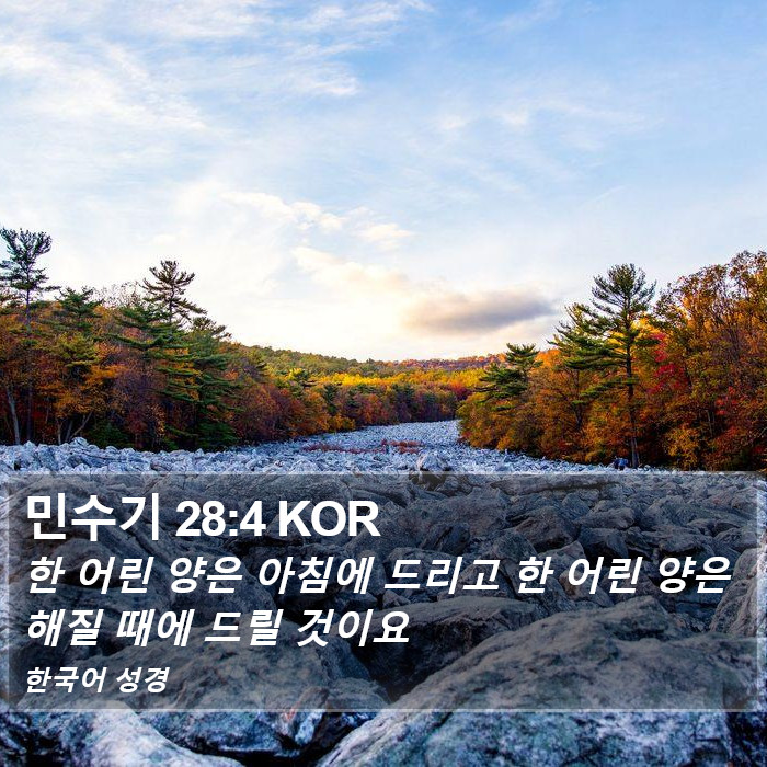 민수기 28:4 KOR Bible Study