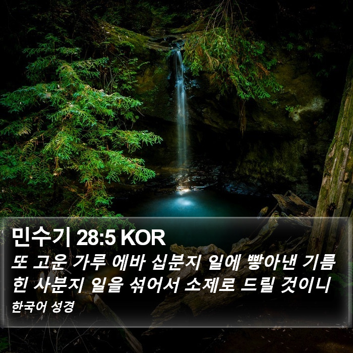 민수기 28:5 KOR Bible Study