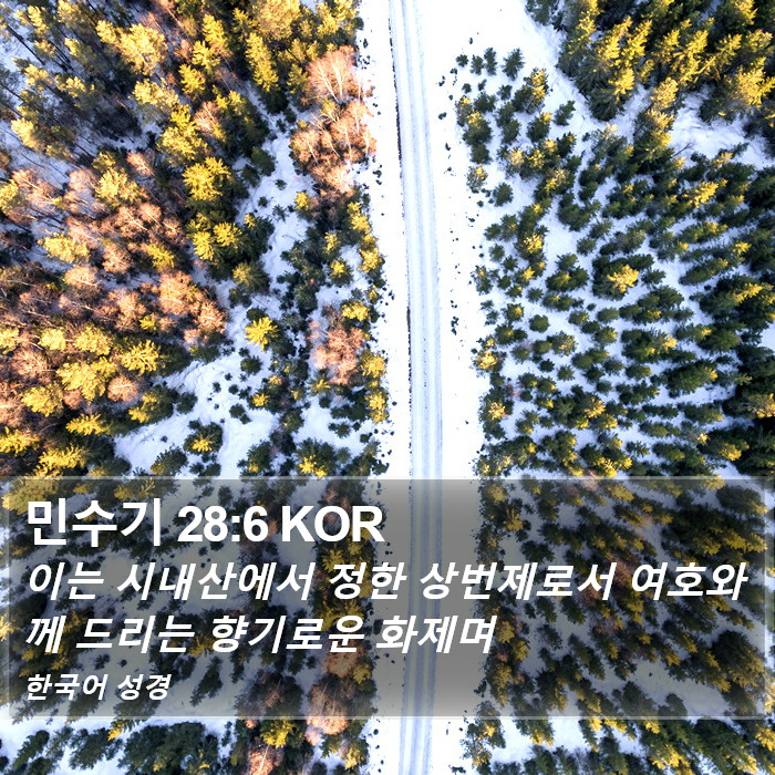 민수기 28:6 KOR Bible Study