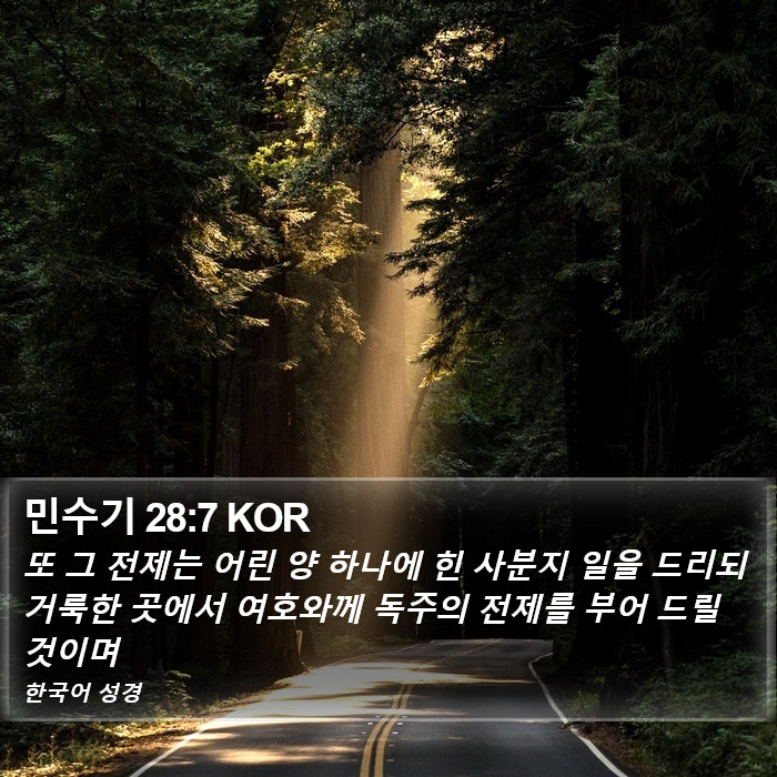 민수기 28:7 KOR Bible Study