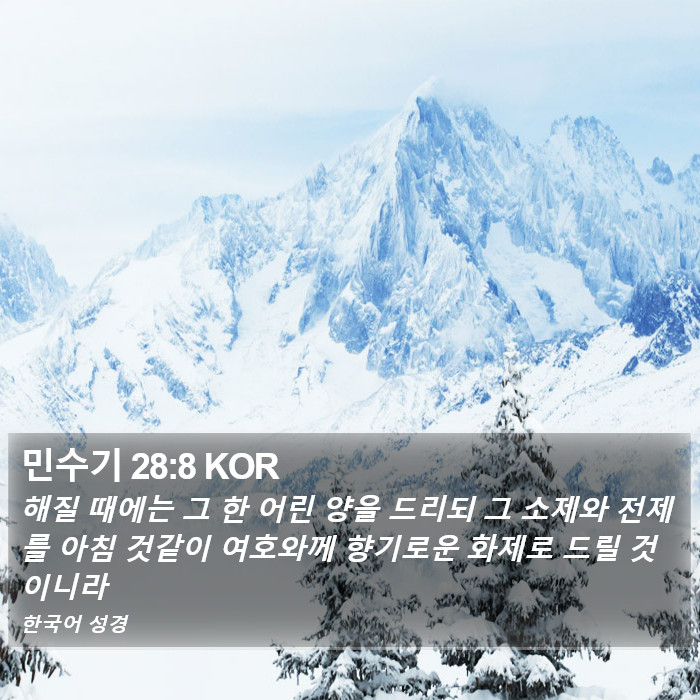 민수기 28:8 KOR Bible Study