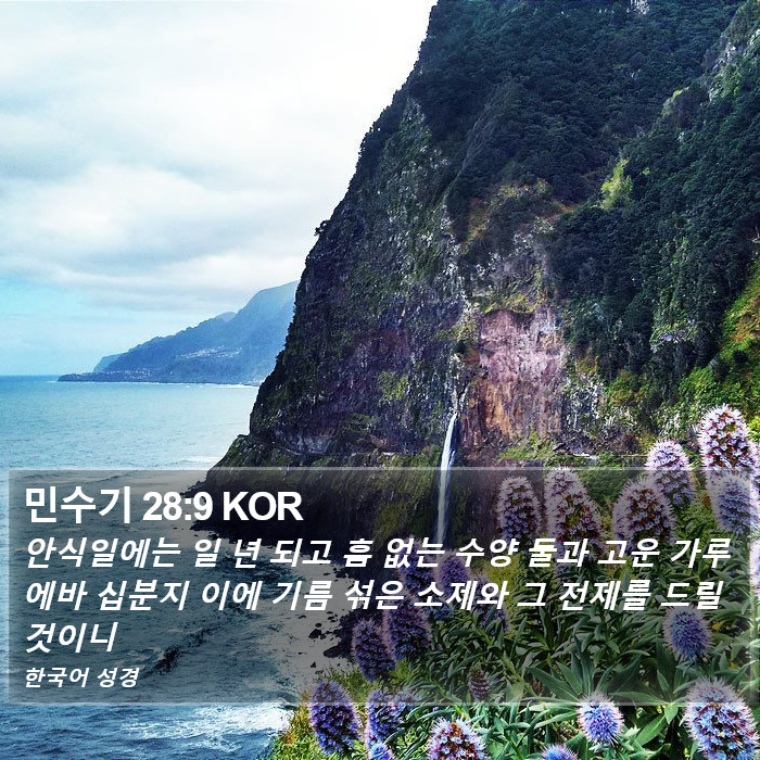 민수기 28:9 KOR Bible Study