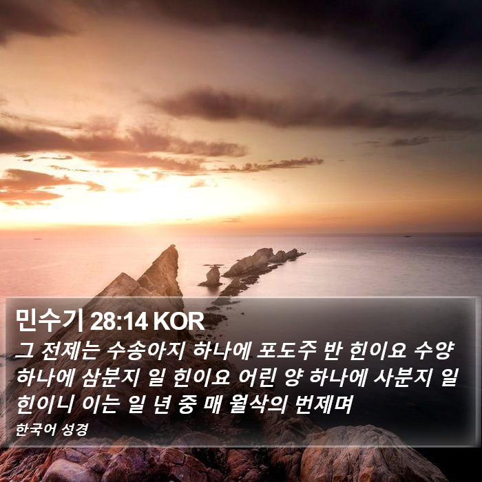 민수기 28:14 KOR Bible Study