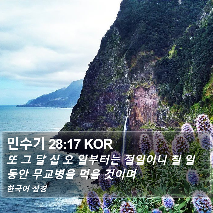 민수기 28:17 KOR Bible Study