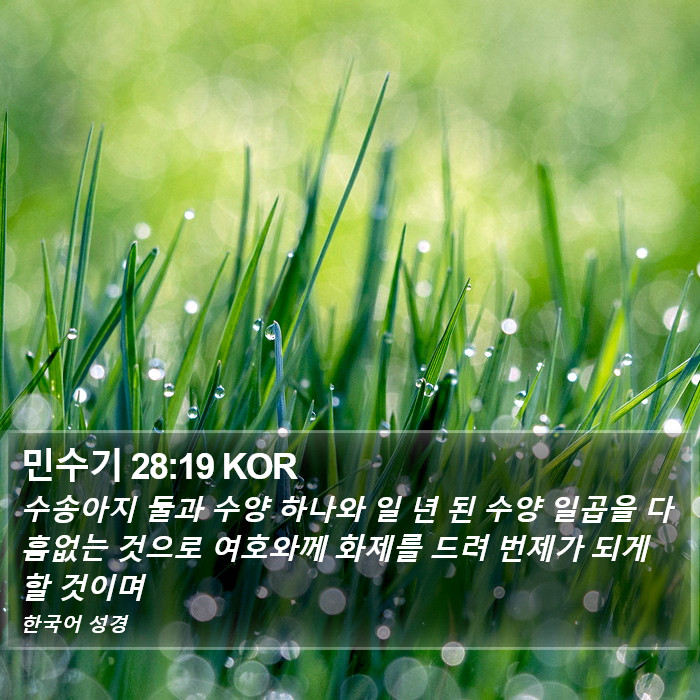 민수기 28:19 KOR Bible Study