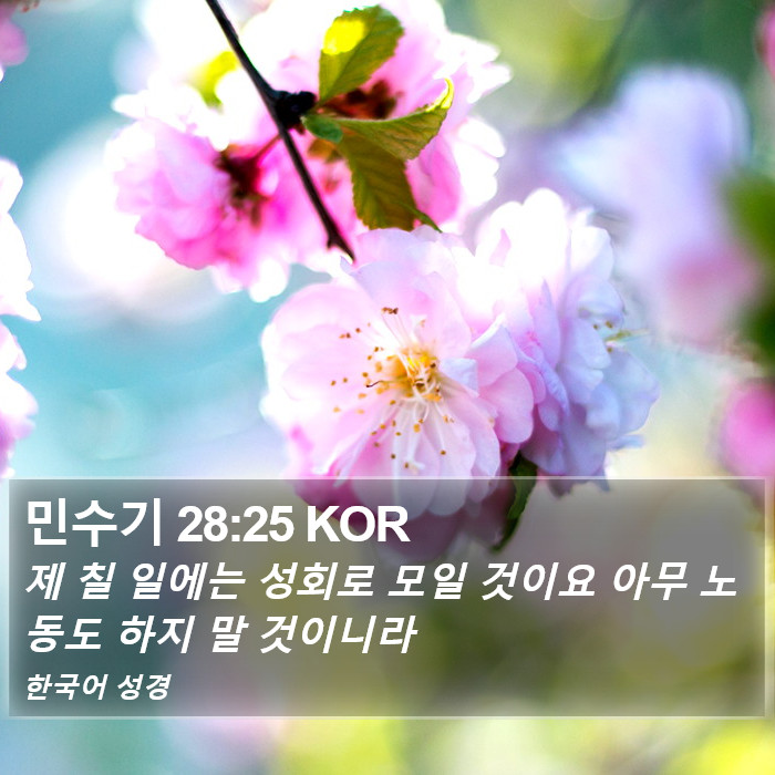 민수기 28:25 KOR Bible Study