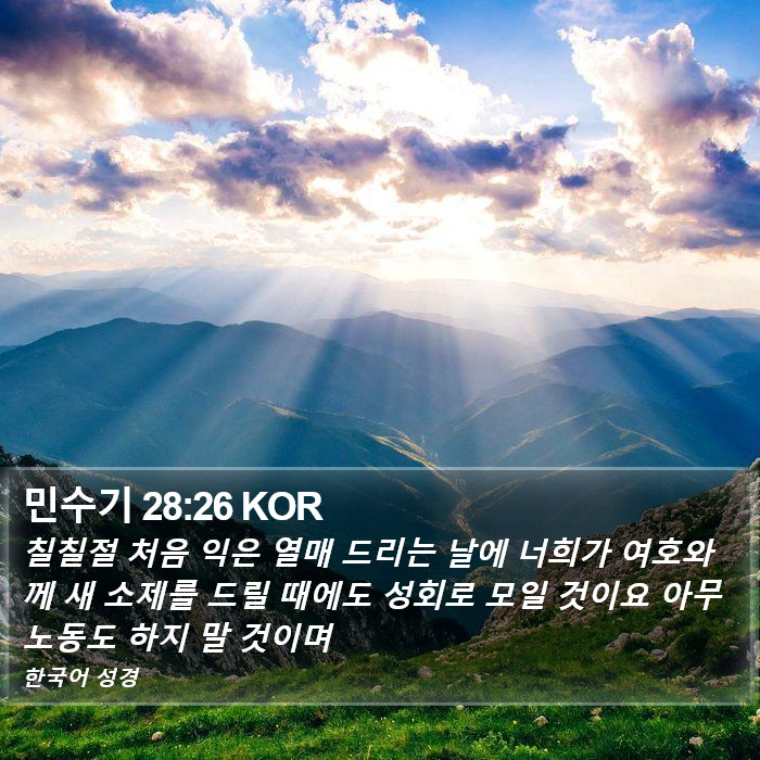 민수기 28:26 KOR Bible Study