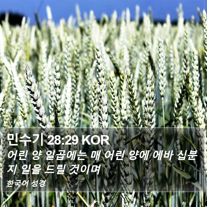 민수기 28:29 KOR Bible Study