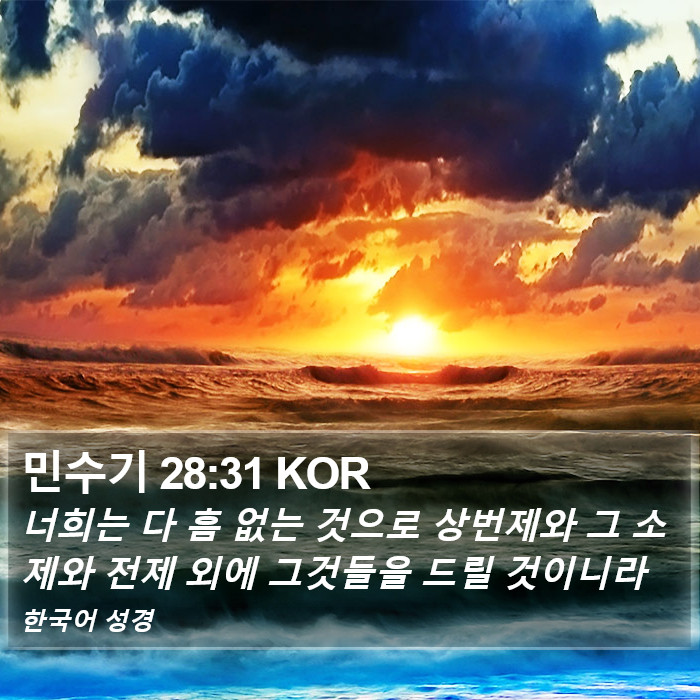 민수기 28:31 KOR Bible Study