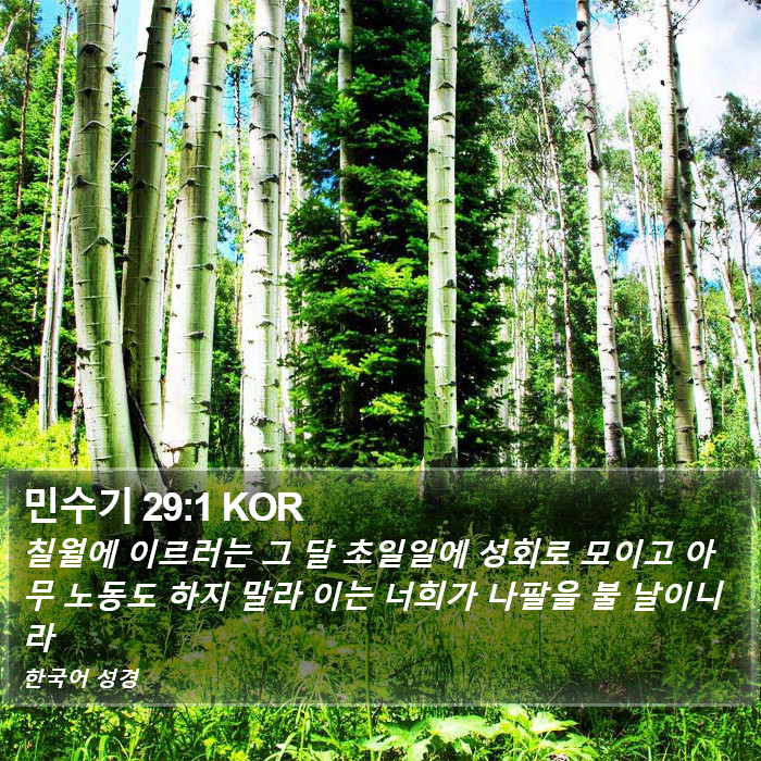 민수기 29:1 KOR Bible Study