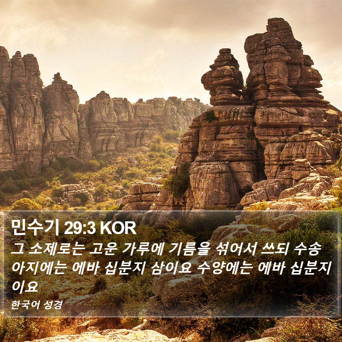 민수기 29:3 KOR Bible Study