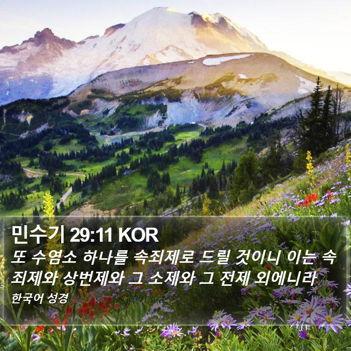 민수기 29:11 KOR Bible Study