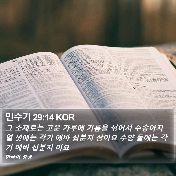 민수기 29:14 KOR Bible Study