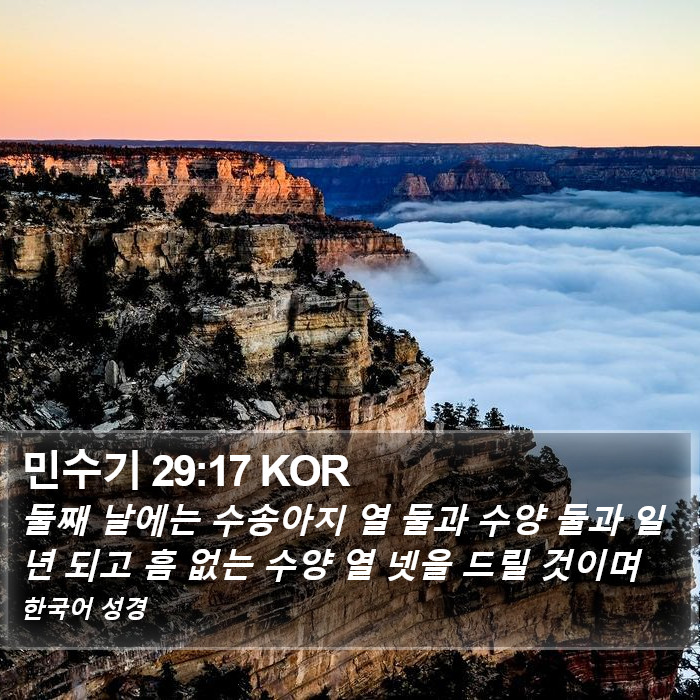 민수기 29:17 KOR Bible Study