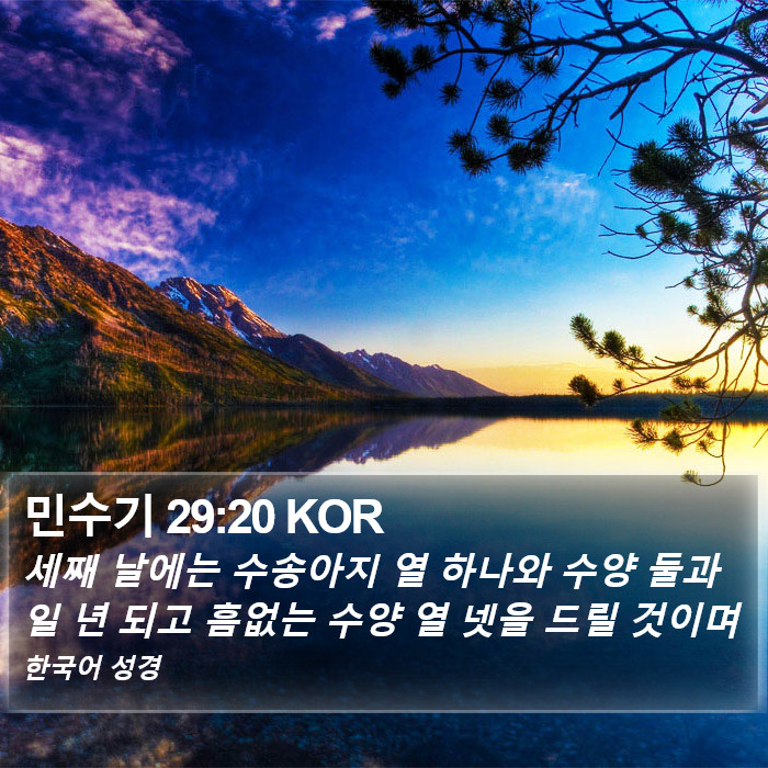 민수기 29:20 KOR Bible Study