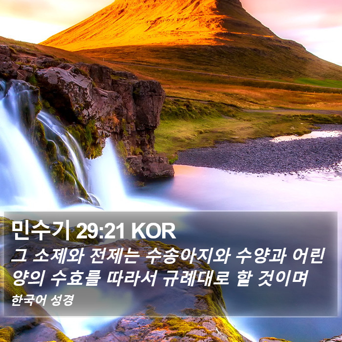 민수기 29:21 KOR Bible Study