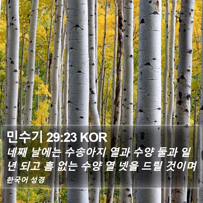 민수기 29:23 KOR Bible Study