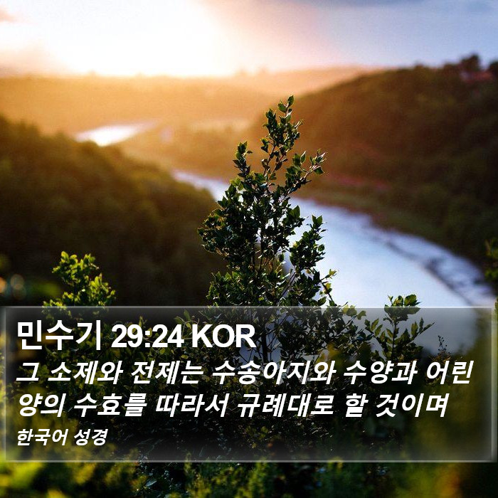 민수기 29:24 KOR Bible Study