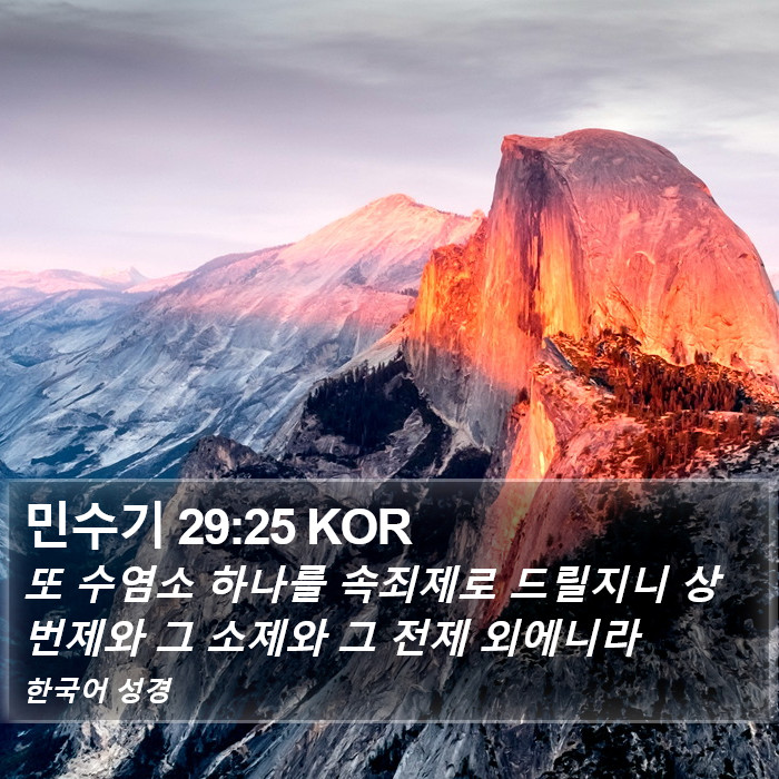 민수기 29:25 KOR Bible Study